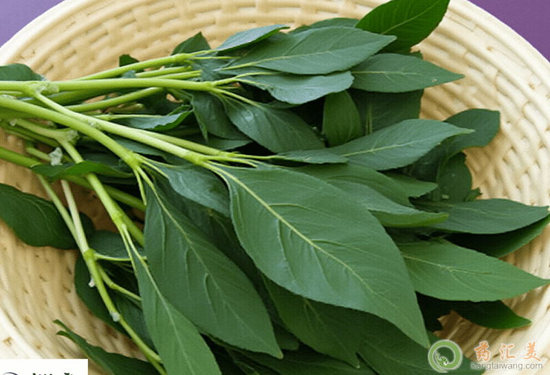 胰腺炎可以吃空心菜嗎 胰腺炎可以吃空心菜嗎