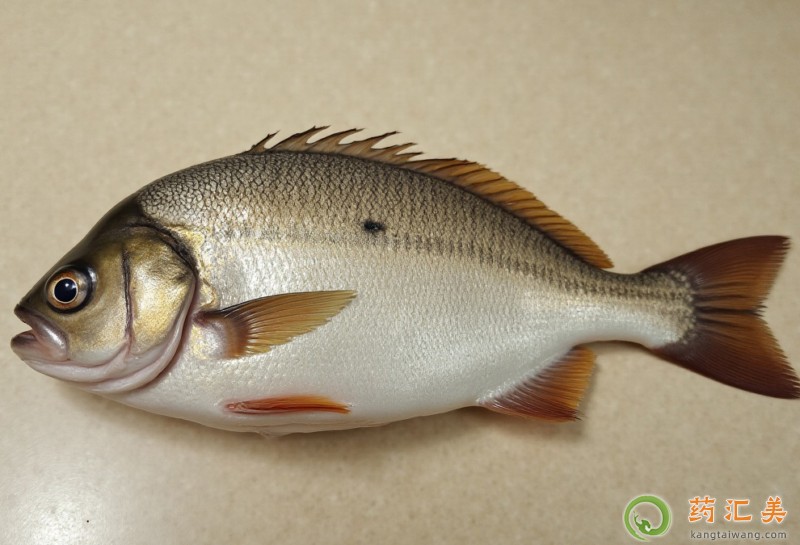 失眠可以吃白姑魚嗎 失眠可以吃白姑魚嗎