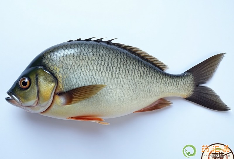 胰腺炎可以吃鳊花魚嗎 胰腺炎可以吃鳊花魚嗎