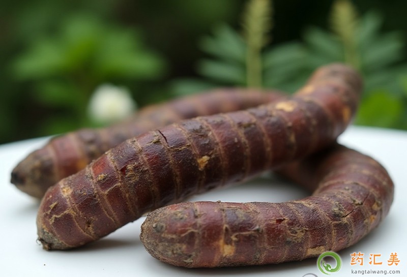 補(bǔ)腎吃肉蓯蓉好