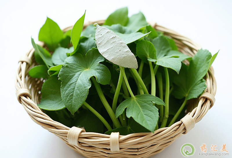 失眠可以吃紅薯葉 失眠可以吃紅薯葉