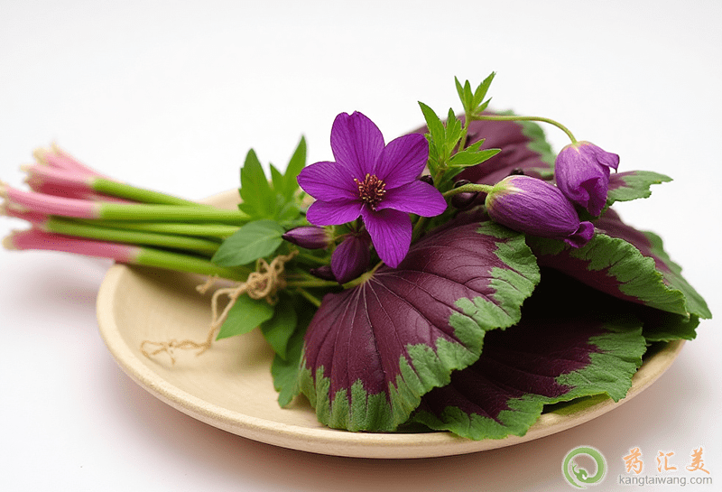 口臭可以吃紅葉莧菜 口臭可以吃紅葉莧菜