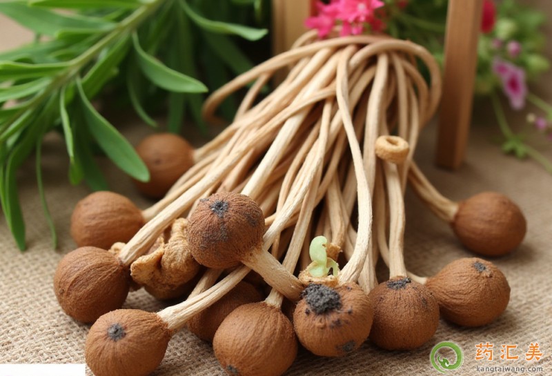 茶樹菇可以補腎嗎 茶樹菇可以補腎嗎