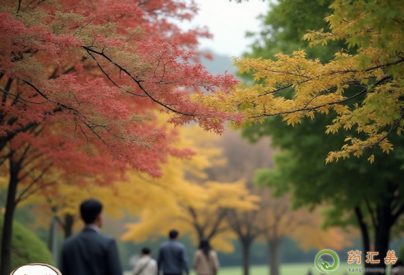 胰腺炎剛出院飯后可以出去散步活動嗎 胰腺炎剛出院飯后可以出去散步活動嗎