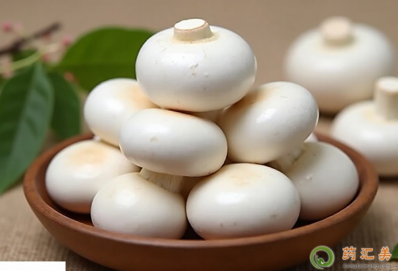 膽結石能吃口蘑嗎 膽結石能吃口蘑嗎