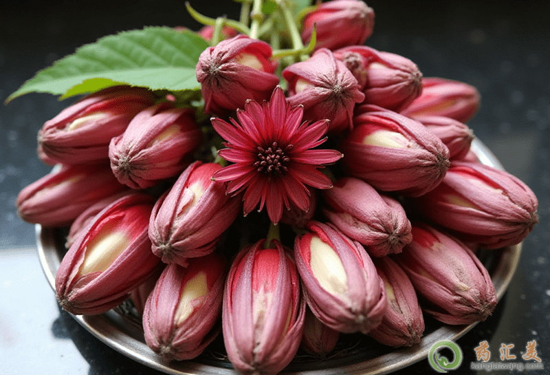 洛神花的營養價值 洛神花的營養價值