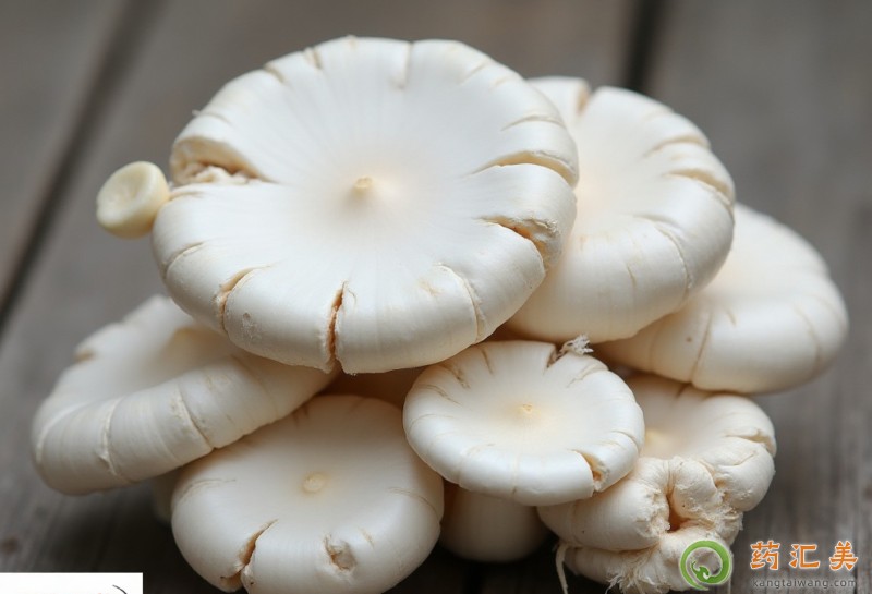 胃炎能吃平菇嗎 胃炎能吃平菇嗎