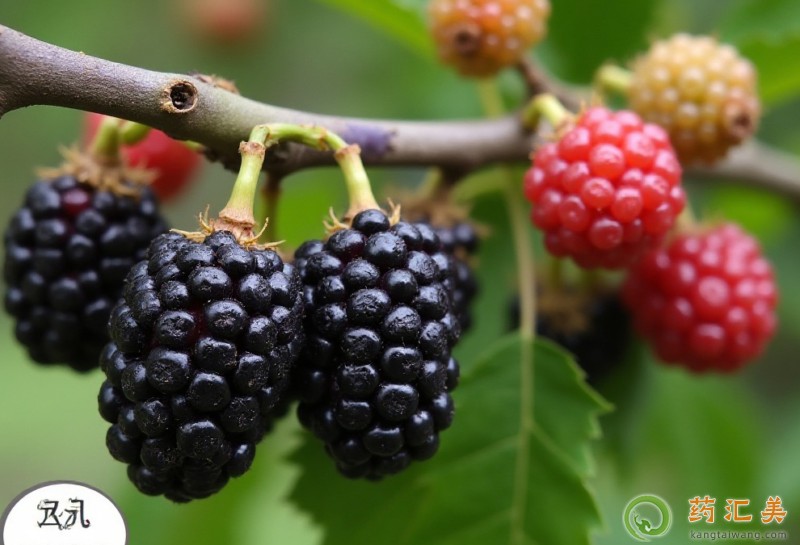 什么水果可以補腎壯陽 什么水果可以補腎壯陽