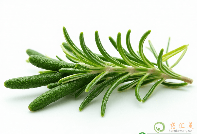 迷迭香的功效與作用 迷迭香的功效與作用