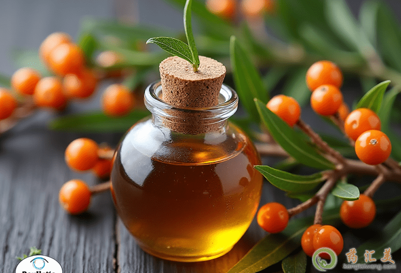 沙棘的食療價值和美容價值 沙棘的食療價值和美容價值