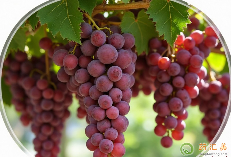 胰腺炎能吃葡萄嗎 胰腺炎能吃葡萄嗎